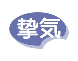 挚 商标图样