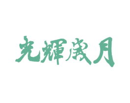 光辉岁月 商标图样