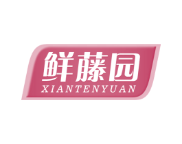 鲜藤园 XIANTENYUAN 商标图样