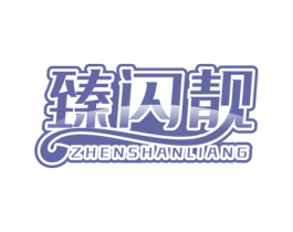 臻闪靓 商标图样