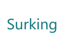 SURKING 商标图样