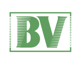 BV 商标图样