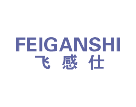 飞感仕 商标图样