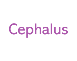 CEPHALUS 商标图样
