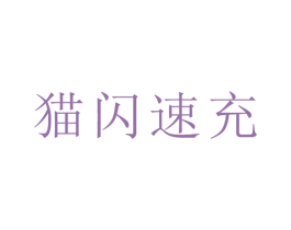 猫闪速充 商标图样