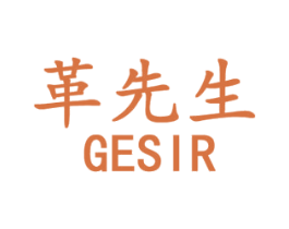 革先生 GESIR 商标图样