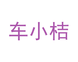 车小桔 商标图样