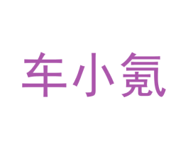 车小氪 商标图样