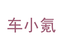 车小氪 商标图样
