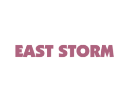 EAST STORM 商标图样