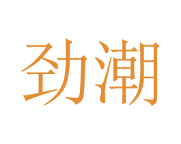 劲潮 商标图样