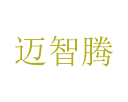 迈智腾 商标图样