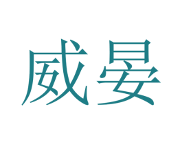 威晏 商标图样