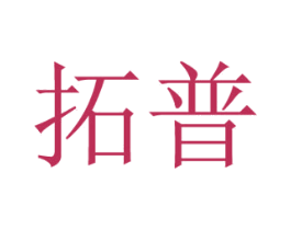 拓普 商标图样