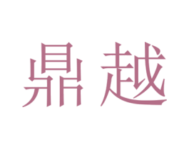 鼎越 商标图样