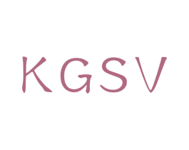 KGSV 商标图样