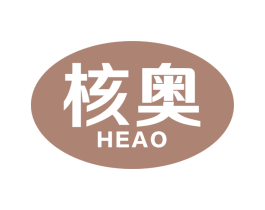核奥 商标图样