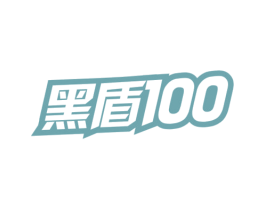黑盾100 商标图样