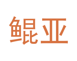 鲲亚 商标图样