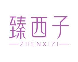 臻西子 商标图样