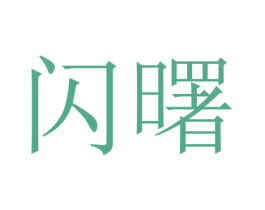 闪曙 商标图样