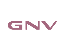 GNV 商标图样