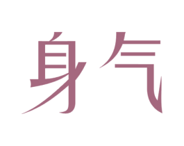 身气 商标图样