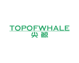 尖鲸TOPOFWHALE 商标图样
