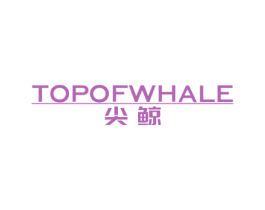 尖鲸 TOPOFWHALE 商标图样