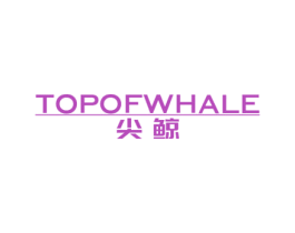 尖鲸 TOPOFWHALE 商标图样