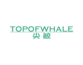 尖鲸 TOPOFWHALE 商标图样