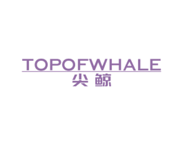 尖鲸 TOPOFWHALE 商标图样