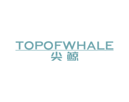 尖鲸 TOP OF  WHALE 商标图样