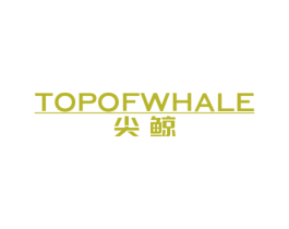 尖鲸 TOPOFWHALE 商标图样