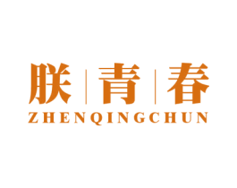 朕青春 商标图样