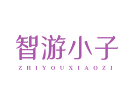 智游小子 商标图样