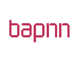 BAPNN 商标图样