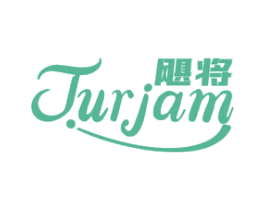 飓将 JUJAM 商标图样