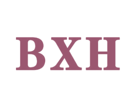 BXH 商标图样