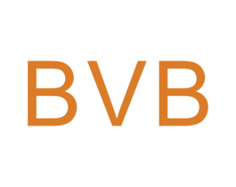 BVB 商标图样