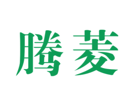 腾菱 商标图样