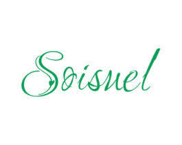 SOISUEL 商标图样