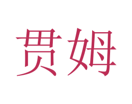 贯姆 商标图样