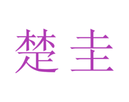 楚圭 商标图样