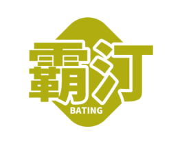 霸汀 商标图样