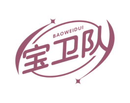宝卫队 商标图样