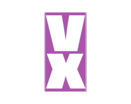 VX 商标图样
