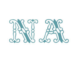 NA 商标图样