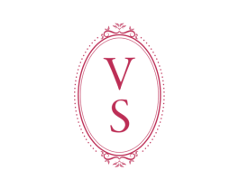 VS 商标图样