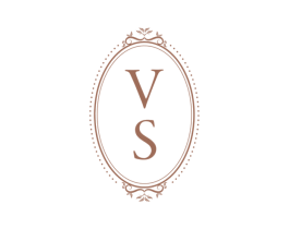 VS 商标图样